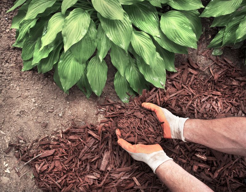 Decorative Mulch Application