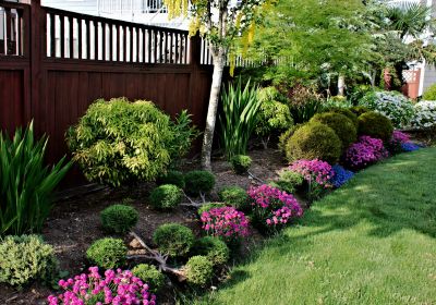 Landscaping with Mulch