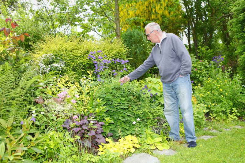 Finished Mulched Landscape